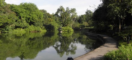 Singapore Botanic Gardens 