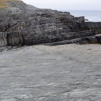 Mistaken Point by Svein Elias