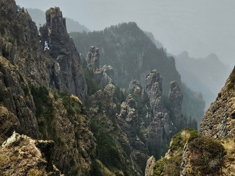 Hubei Shennongjia by Roman Bruehwiler