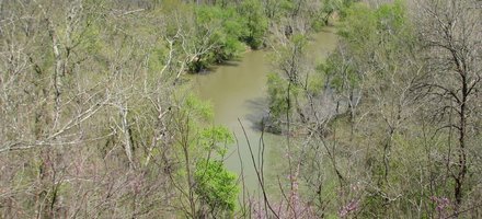 Mammoth Cave
