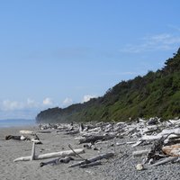 Olympic National Park by Roman Bruehwiler