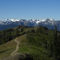 Olympic National Park