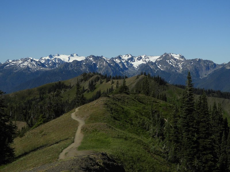 Olympic National Park by Roman Bruehwiler