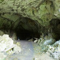 Caves and Ice Age Art