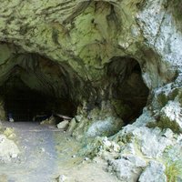 Caves and Ice Age Art
