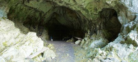 Caves and Ice Age Art