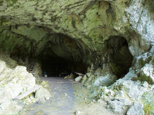 Caves and Ice Age Art by Hubert