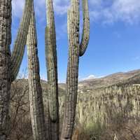 Tehuacán-Cuicatlán Valley by Els Slots