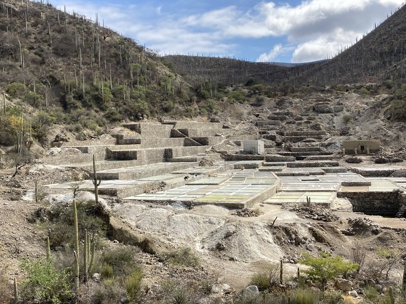 Tehuacán-Cuicatlán Valley by Els Slots
