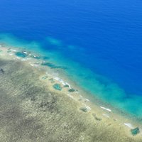 Great Barrier Reef by Clyde