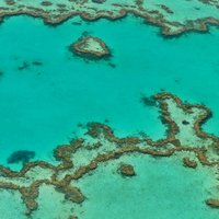 Great Barrier Reef