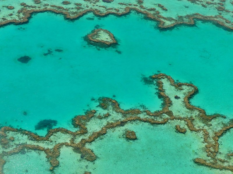 Great Barrier Reef by Clyde