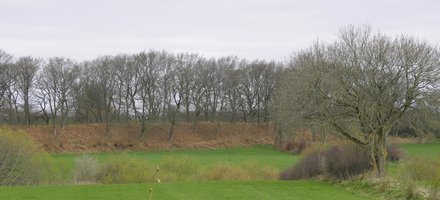 Hedeby and Danevirke