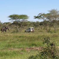 Serengeti