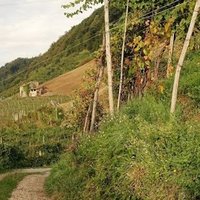 The Prosecco Hills