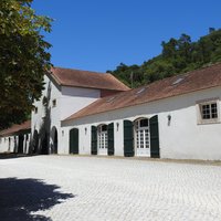 Mafra