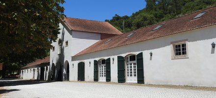 Mafra