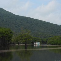 Amami-Oshima Island by Els Slots