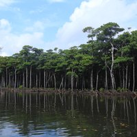 Amami-Oshima Island