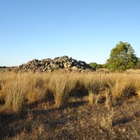 Budj Bim Cultural Landscape