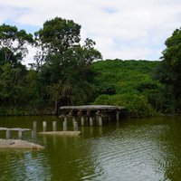 Mozu-Furuichi Kofun by Hubert