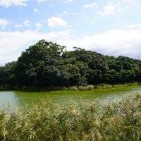 Mozu-Furuichi Kofun
