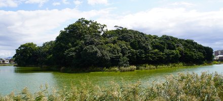 Mozu-Furuichi Kofun