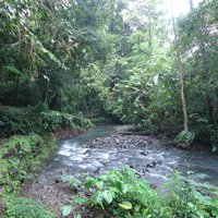 Darien National Park
