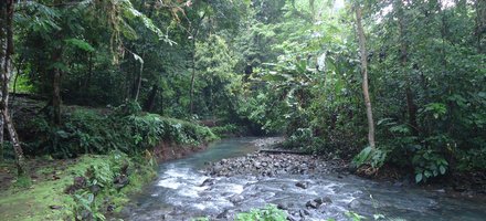 Darien National Park