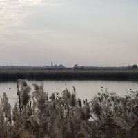 Migratory Bird Sanctuaries China by Zoë Sheng