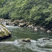 Colchic Rainforests and Wetlands 