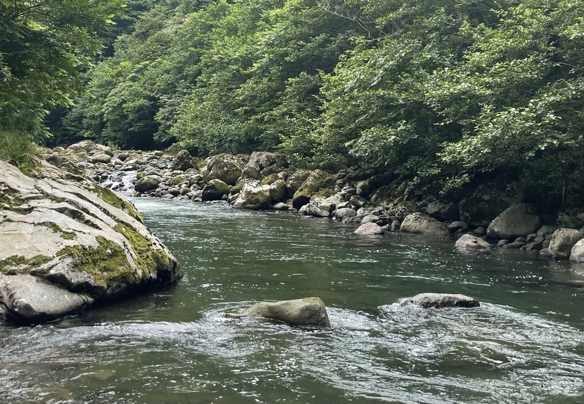 Colchic Rainforests and Wetlands : UNESCO World Heritage Site Travel Guide