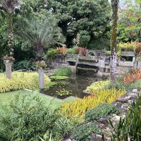 Sítio Roberto Burle Marx