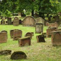 ShUM Sites
