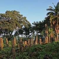 Gedeo Cultural landscape