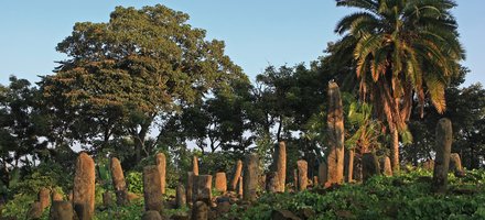Gedeo Cultural landscape