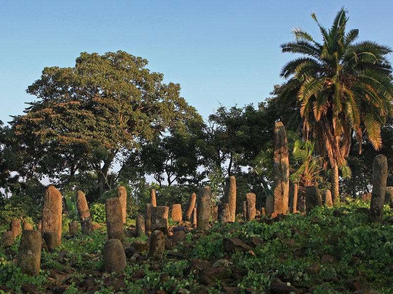 Gedeo Cultural landscape by marcel staron