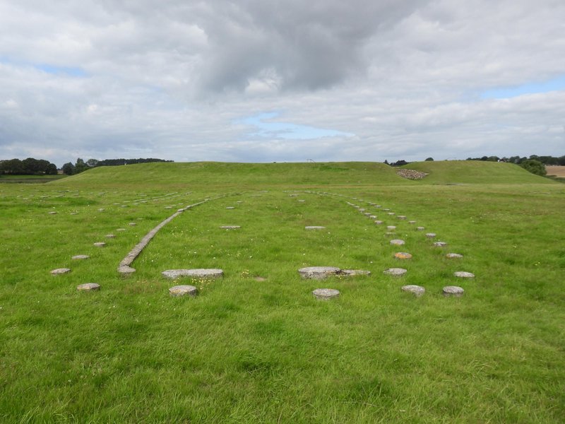 Viking Age Ring Fortresses by Walter