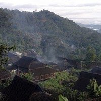 Ancient Tea Plantations of Pu'er