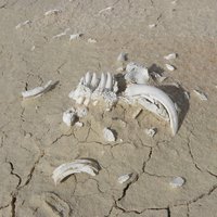 Willandra Lakes by Els Slots