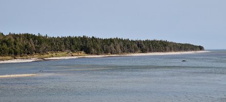 Anticosti