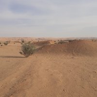 'Uruq Bani Ma'arid