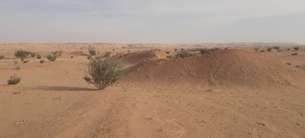 'Uruq Bani Ma'arid