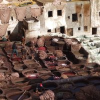 Medina of Fez