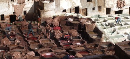 Medina of Fez