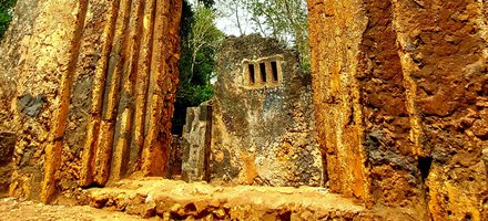 Gedi 