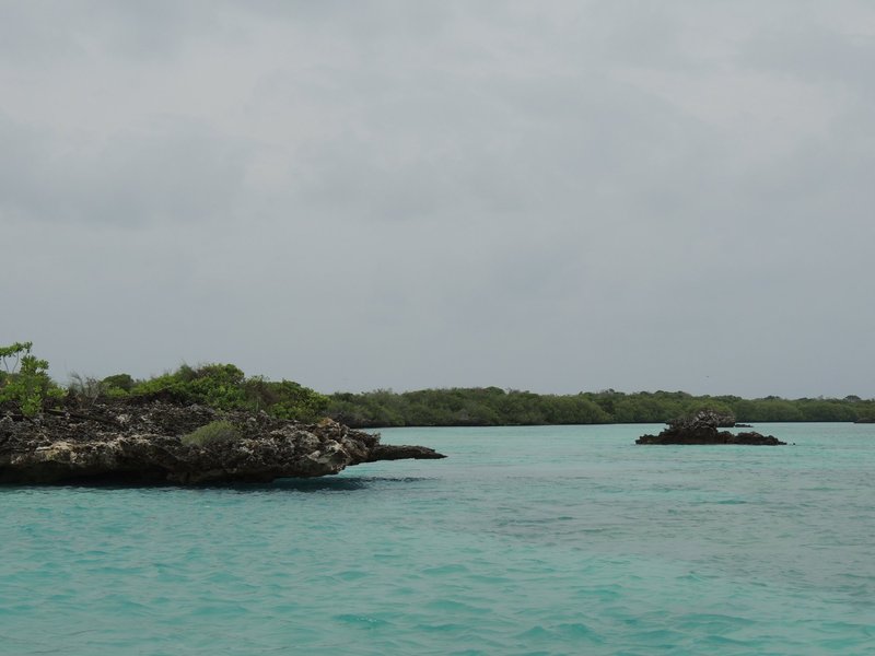 Aldabra Atoll by Roman Bruehwiler