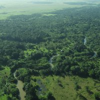 Rio Platano Biosphere Reserve by Roman Bruehwiler