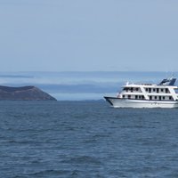 Galapagos Islands