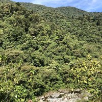 Talamanca Range-La Amistad Reserves